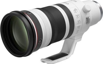Canon RF100-300mm F2.8 L is USM